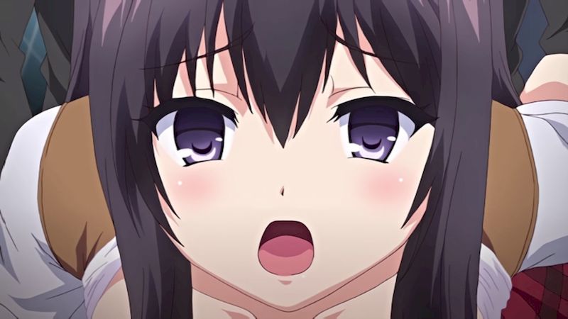 【里番ACG动画下载磁力|VIP|在线看】[PoRO] フリフレ2 恋妹・菫～背徳に溺れるギセイ