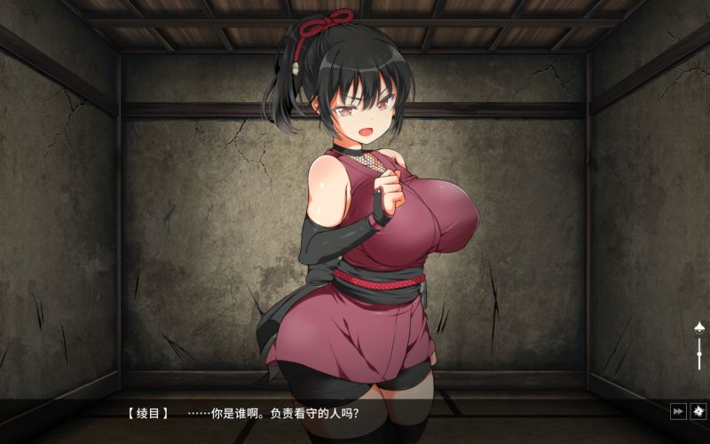 忍堕-女忍调教